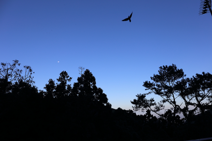 好聖地民宿美景